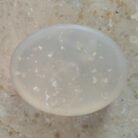 WhatsApp Image 2026-01-03 at 14.47.19